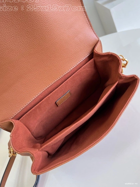 WIS METIS-25*19*7cm LOUIS VUITTON POCHETTE 0727